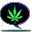 Type 2 Licensed Medical Marijuana Dispensary in the State of Colorado