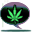 Type 3 Licensed Medical Marijuana Dispensary in the State of Colorado