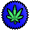Medical Marijuana Products Manufacturer in the State of Colorado