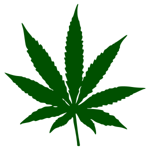 List of All Retail Colorado Marijuana Dispensaries